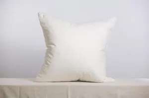 20 X 20 Occasional Pillow