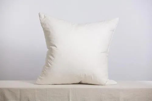 26 X 26 Occasional Pillow