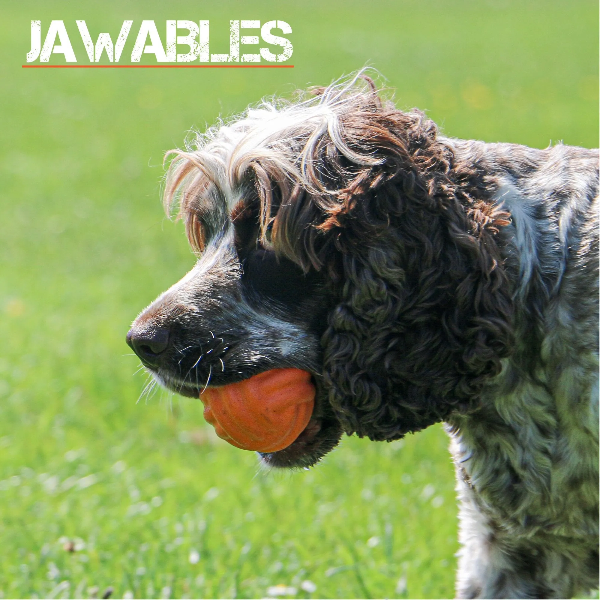 Ancol Jawables Tough Ribbed Ball Dog Toy