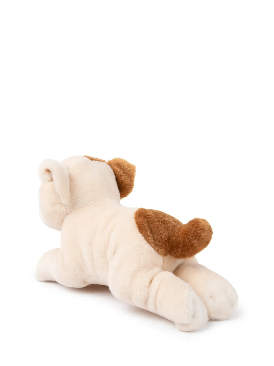 B.T. Chaps - Bertha The American Bulldog In Giftbox
