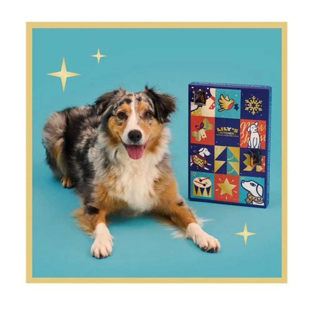 Christmas Advent Calendar for Dogs