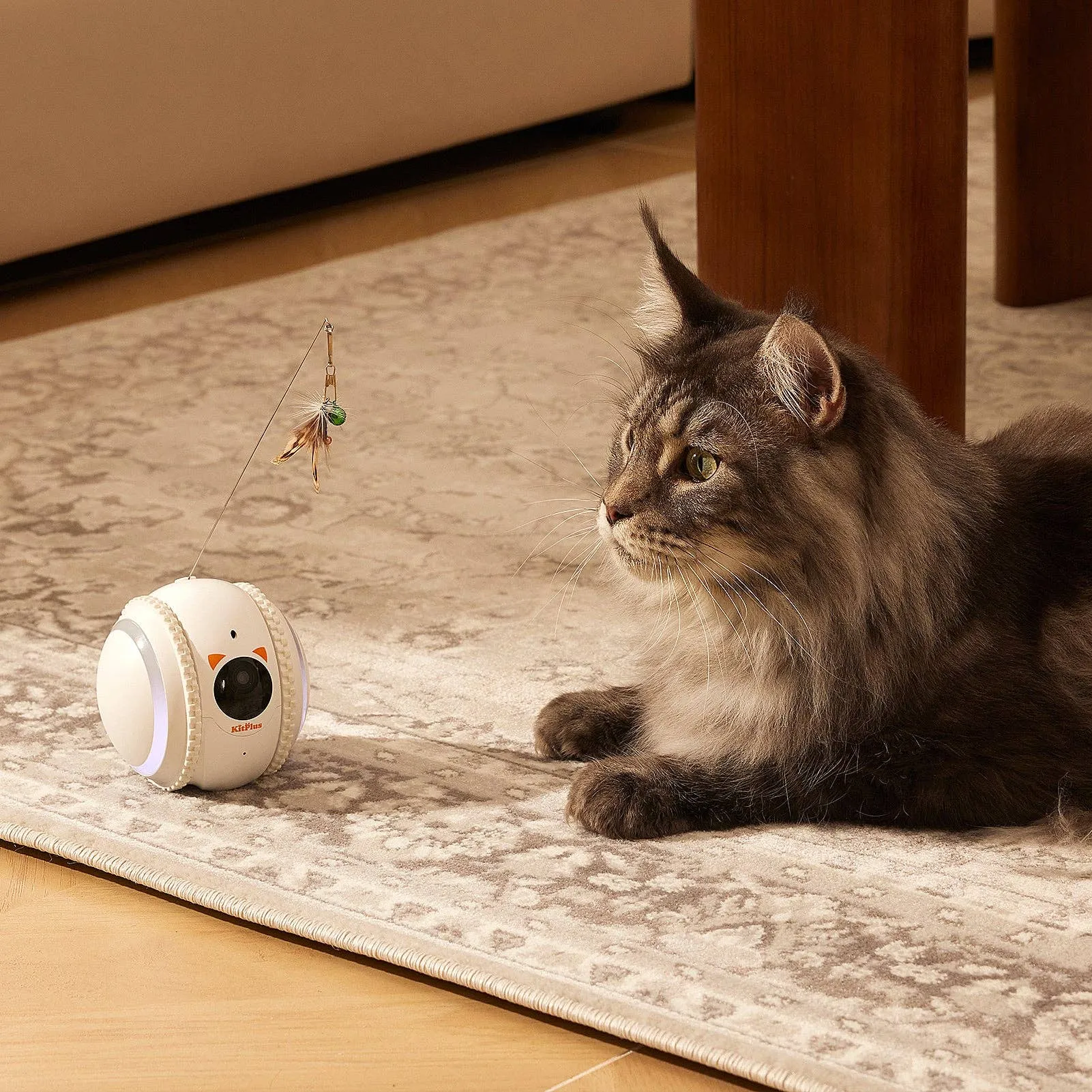 Curatepet Smart App Control Petpal Robot with Camera for Cats