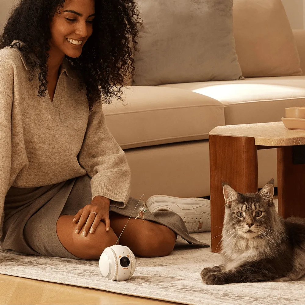 Curatepet Smart App Control Petpal Robot with Camera for Cats