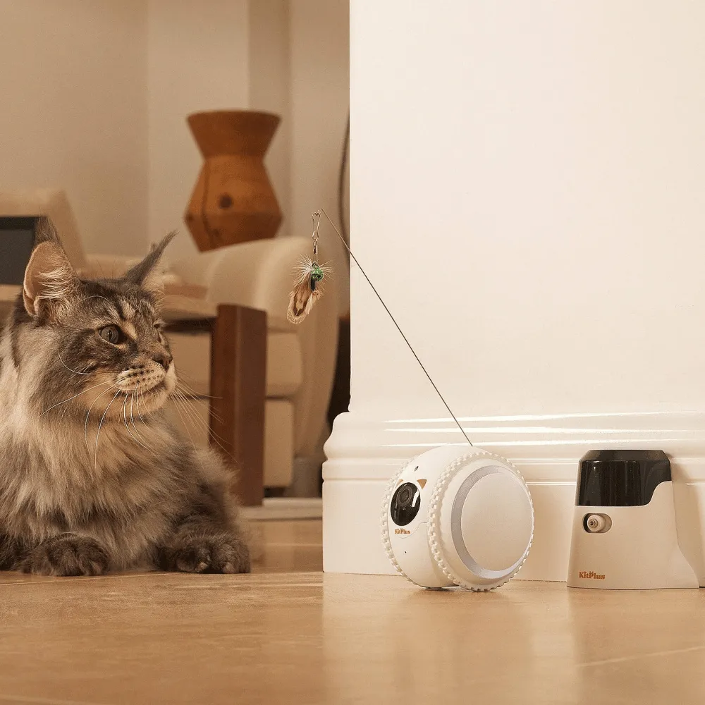 Curatepet Smart App Control Petpal Robot with Camera for Cats