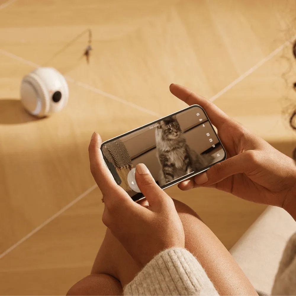 Curatepet Smart App Control Petpal Robot with Camera for Cats