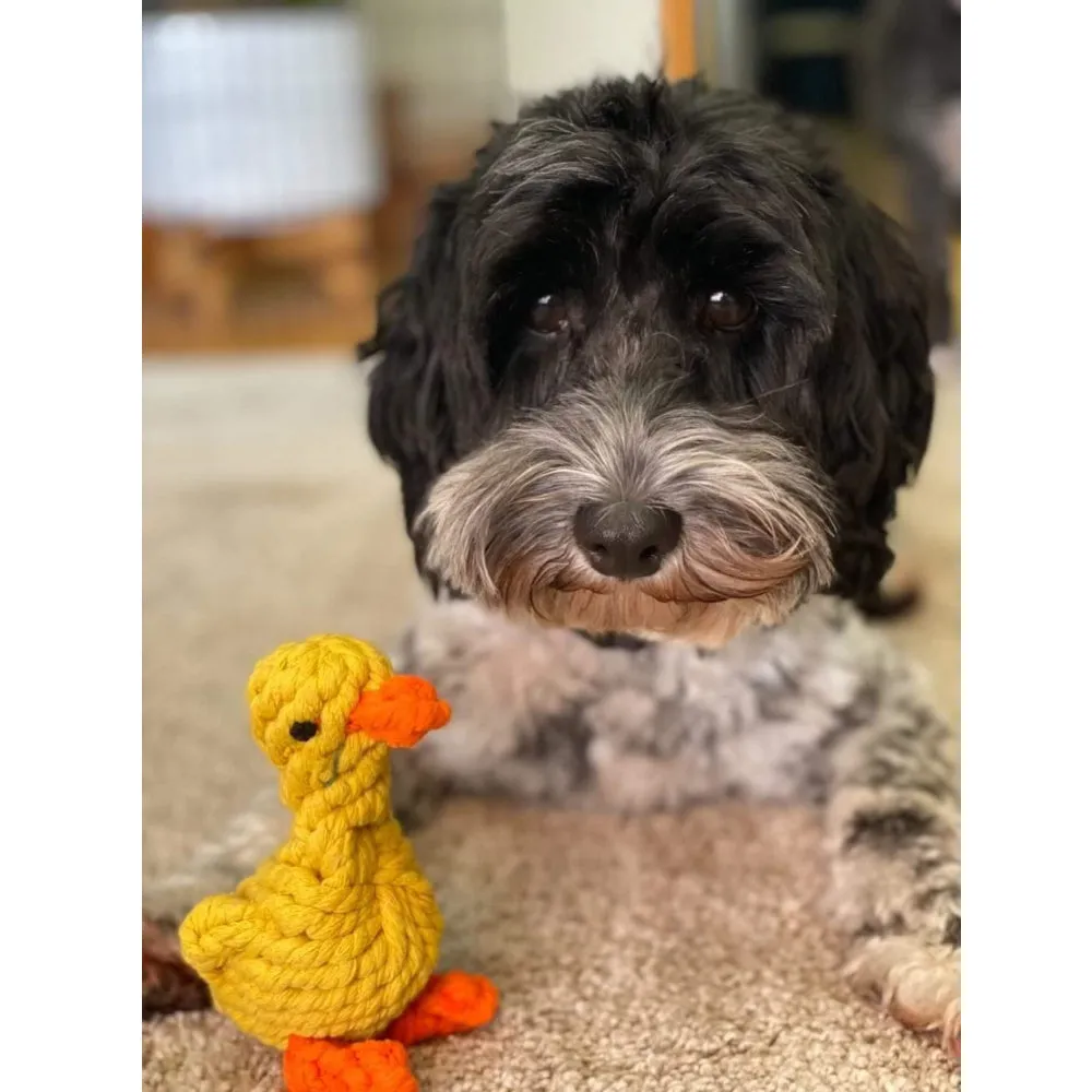 Duck Rope Dog Toy
