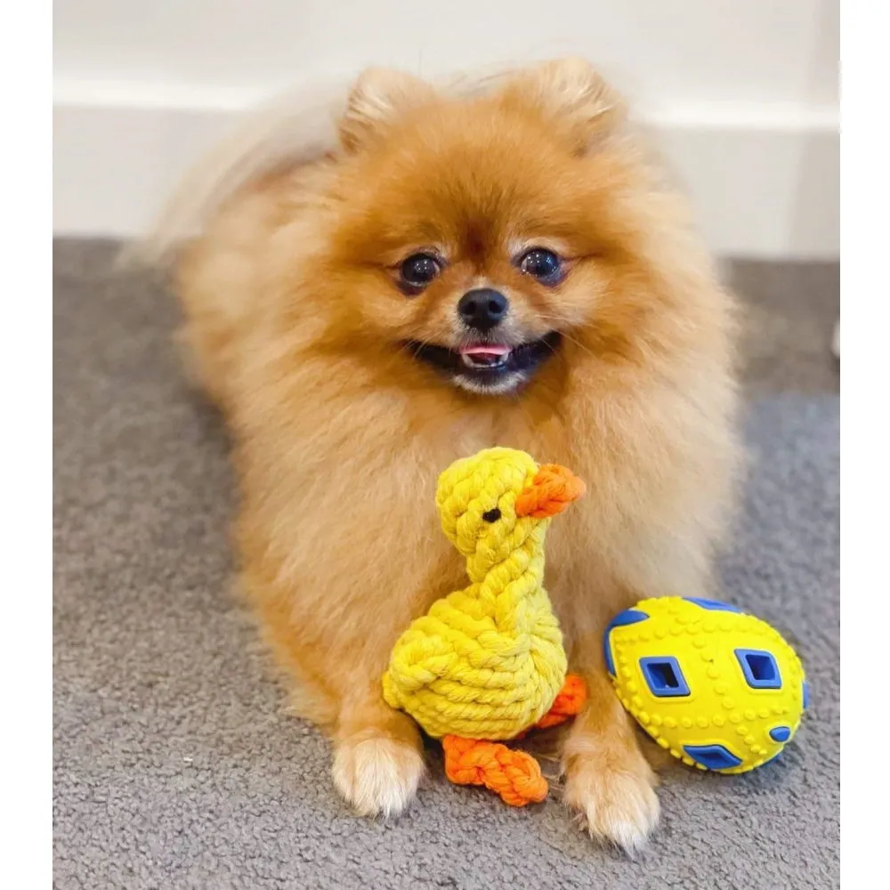 Duck Rope Dog Toy