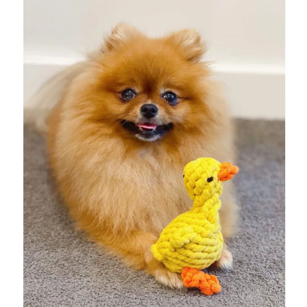 Duck Rope Dog Toy