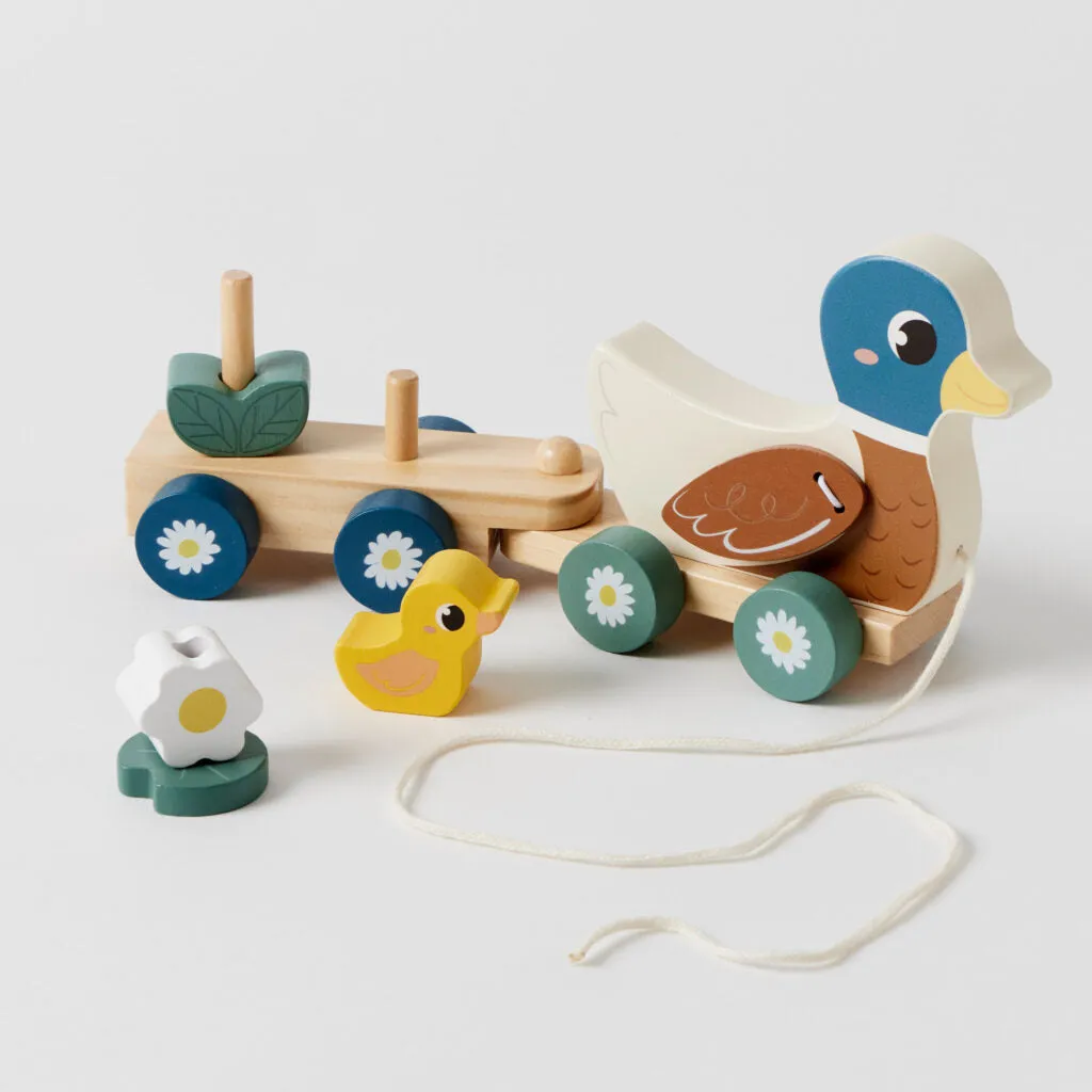 DUCK TRAIN SET