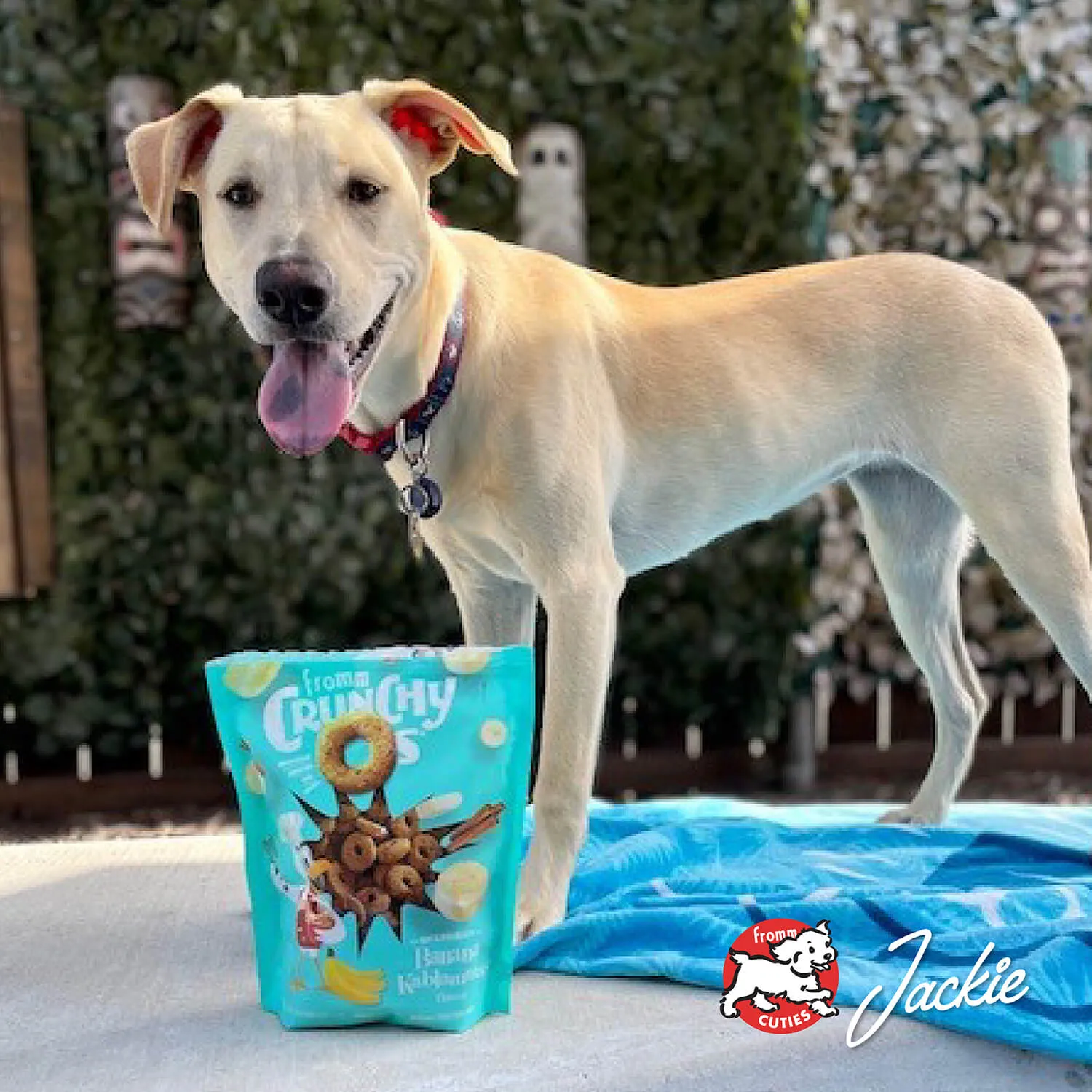 Fromm Banana Kablammas® Flavor Treats 6 oz
