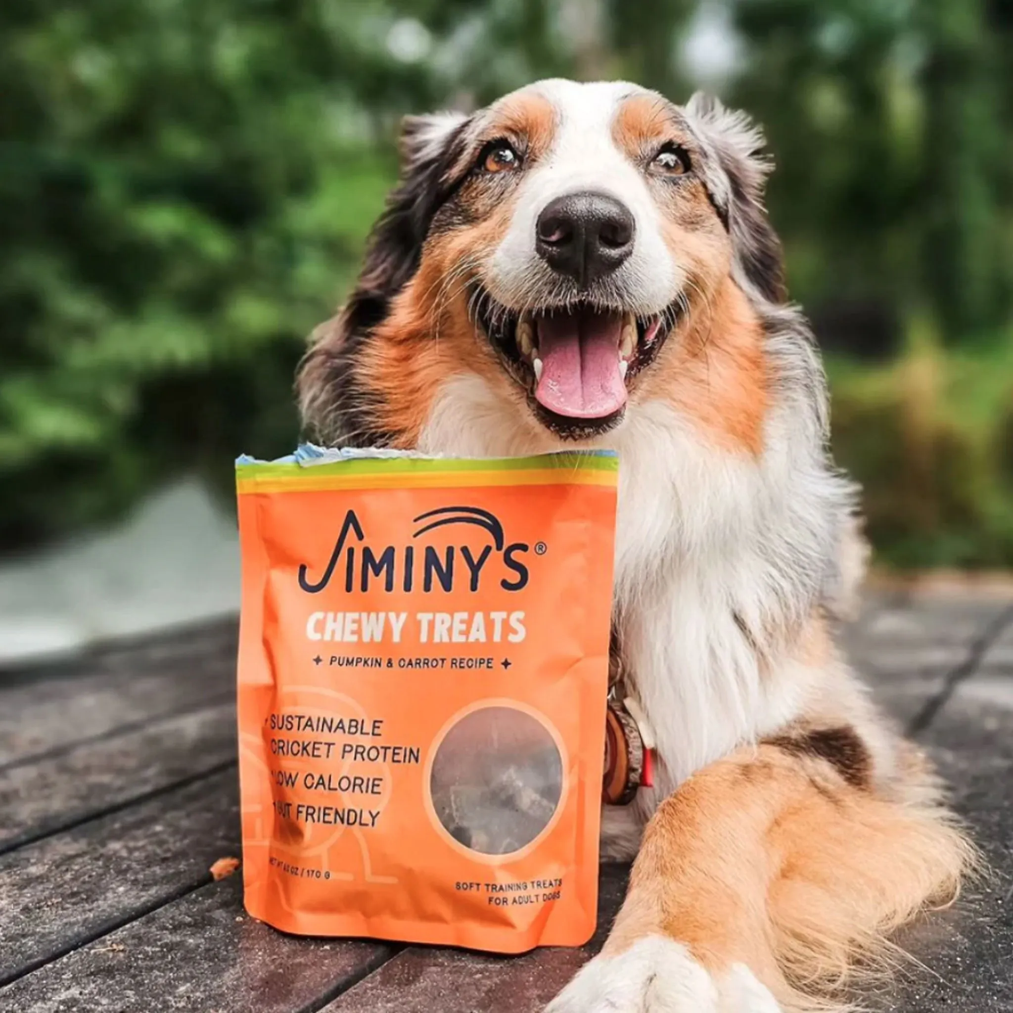 Jiminy's Cricket Cookie Pumpkin & Carrot Training Dog Treats - 6 oz