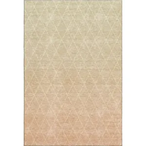 Lazio LZ2 Salmon Rug