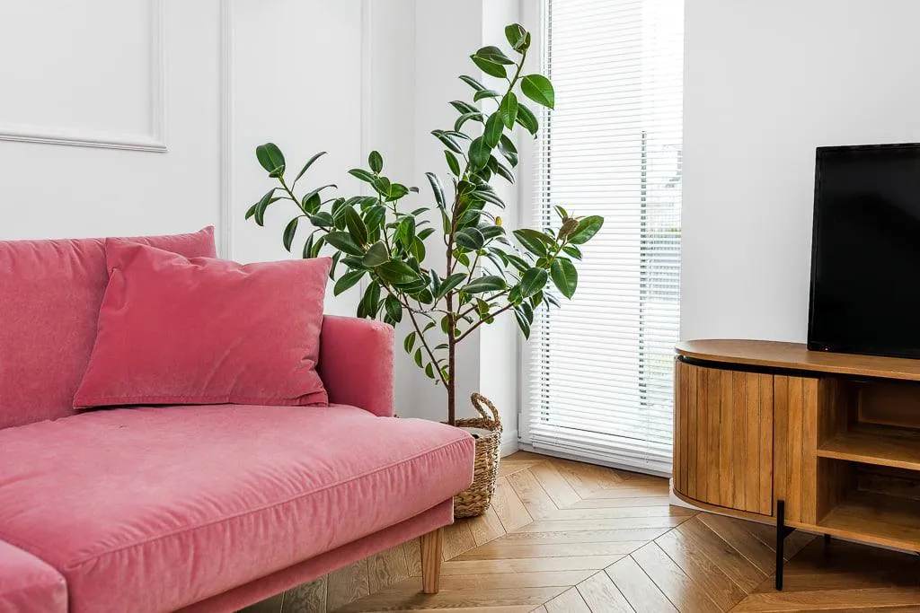 Paradise Sofa