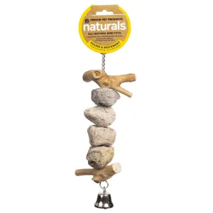 Prevue Pet Naturals Block Rock Bird Toy