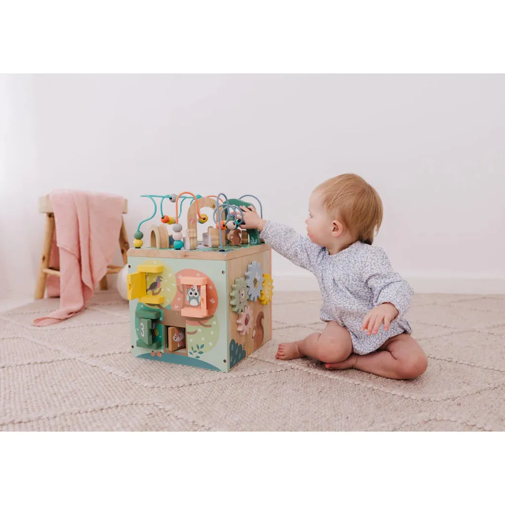 Wooden Activity Centre